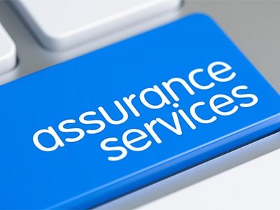 Assurance / Auditing Services