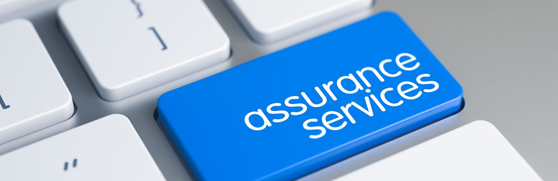 Assurance/Auditing Services