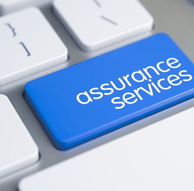 Assurance / Auditing Services